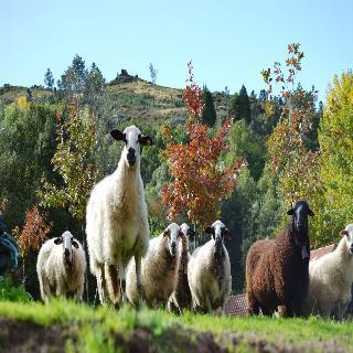 ホテル Quinta Da Mata シャヴェス エクステリア 写真